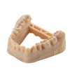 BASF Resina  Ultracur3D DM 2505 - Dental Model Beige 1kg